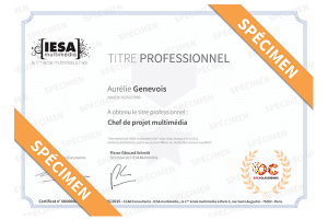 Certification iesa openclassrooms